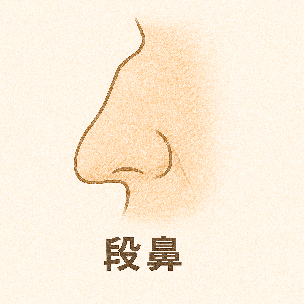 段鼻
