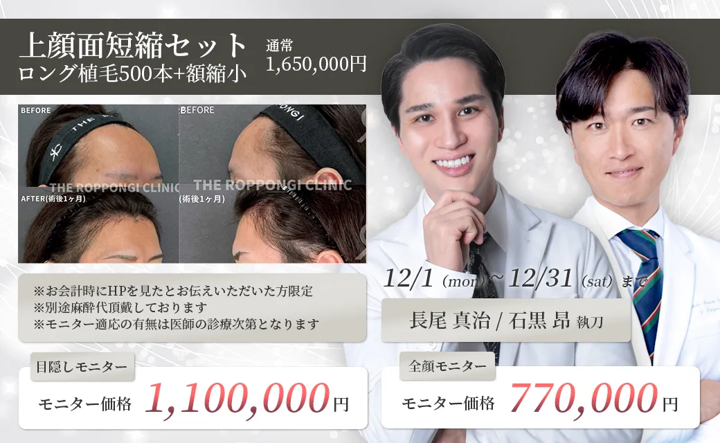 上顔面短縮セット ロング植毛500本+額縮小